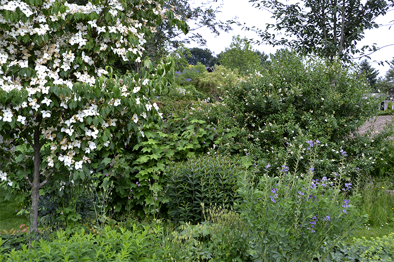 Ecologische tuin van de Ontwikkeling van de Kempen IOK