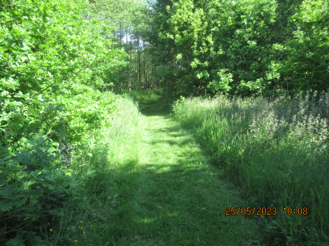 wandelpad Veedijk