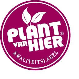 Logo plant van hier