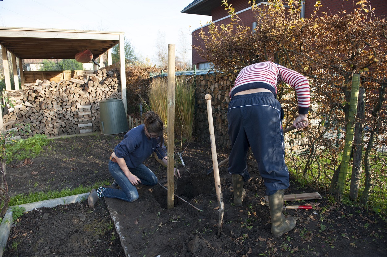 plantput maken