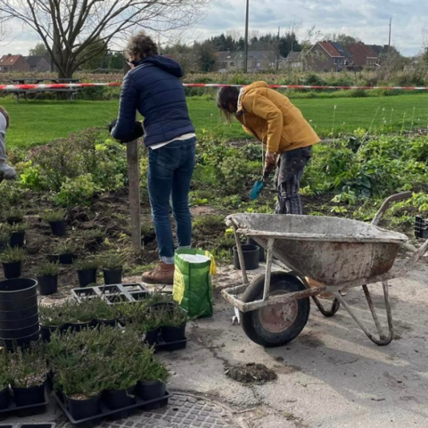 Kempenaren werken aan tuinstraten