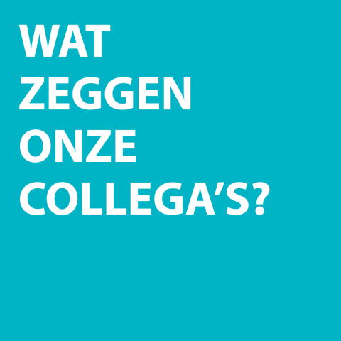 blauwe kader met tekst wat zeggen onze collega's