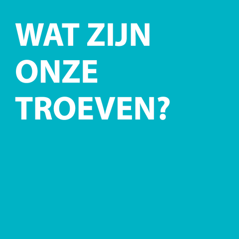 blauwe kader met tekst wat zijn onze troeven